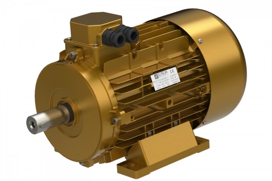 Three-phase electric motor IE2