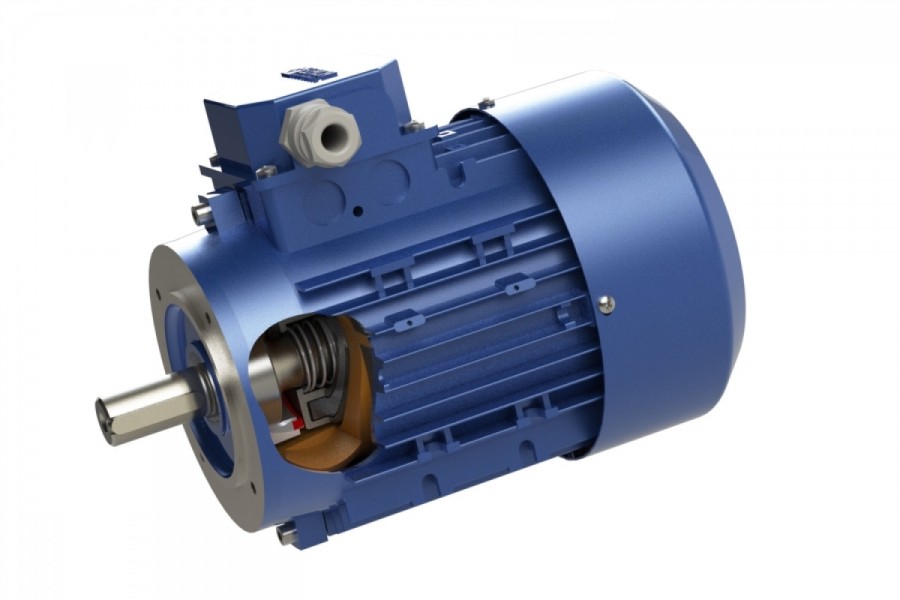 Electric motors with rotor brake